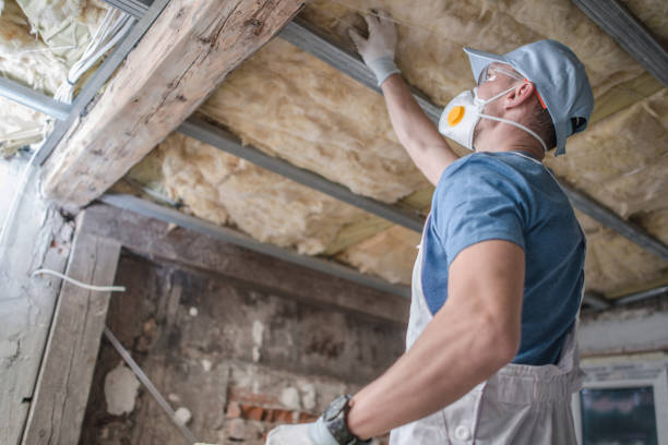 Best Best Insulation Companies  in Fox Chase, PA