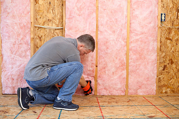 Best Insulation Contractors for Homes  in Fox Chase, PA