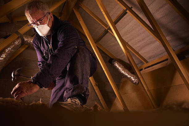 Best Insulation Contractor Near Me  in Fox Chase, PA